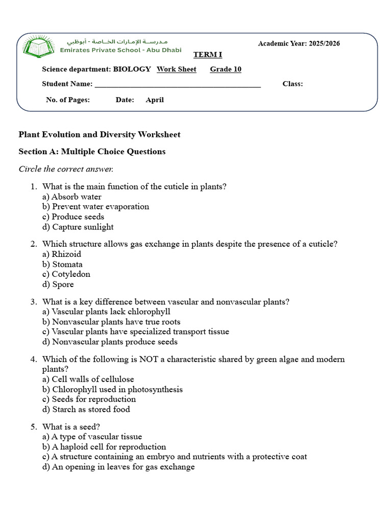 Plant Evolution and Diversity Worksheet | PDF | Plants | Seed