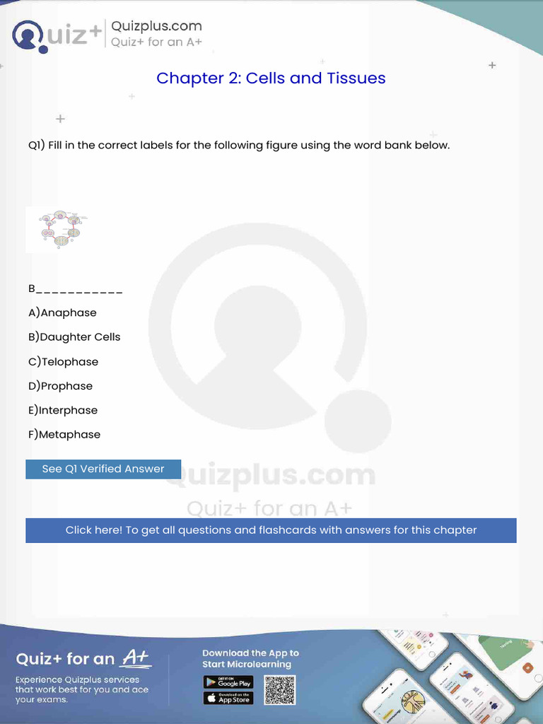 Chapter 2: Cells and Tissues: Q1) Fill in The Correct Labels For The ...