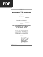 Download Amicus Brief AAPS in Shaygan v US by southfllawyers SN102574371 doc pdf