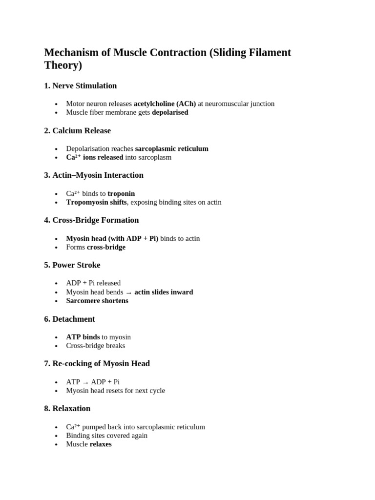 Mechanism of Muscle Contraction | PDF | Angiotensin | Cellular Respiration