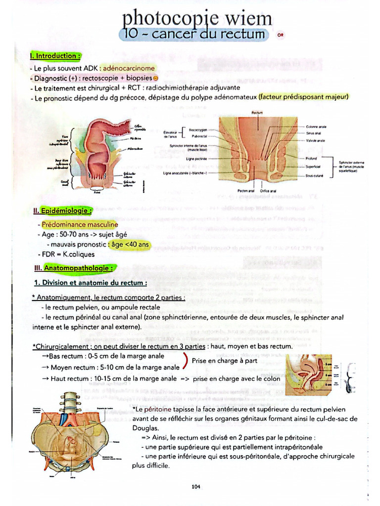 k rectum | PDF