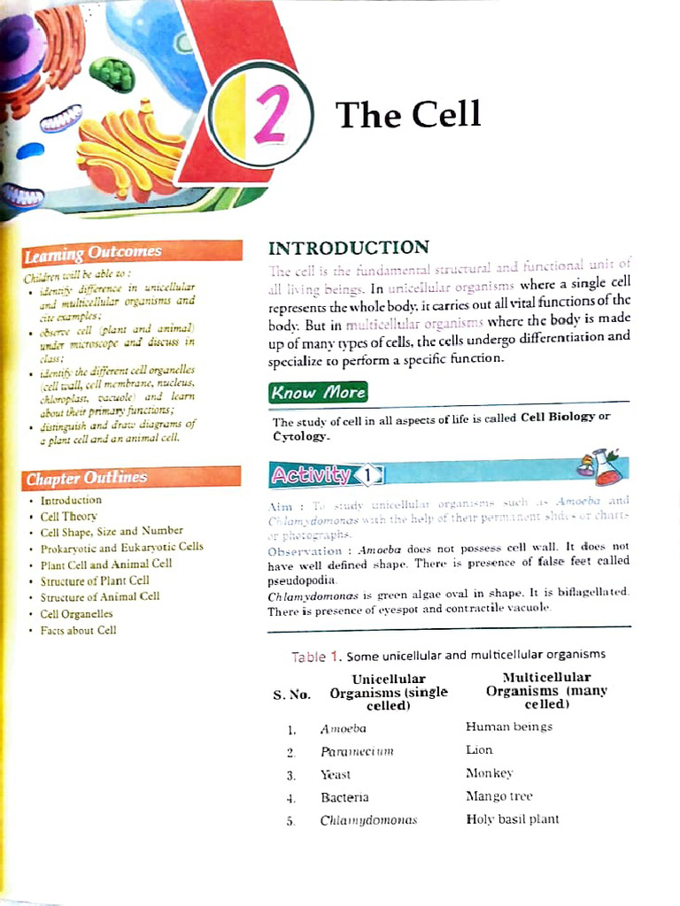 Cell | PDF