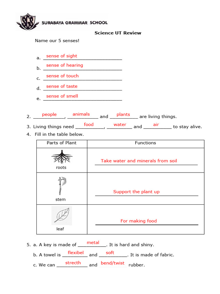 p1 Science Exam Review Ak t2 2025-26-1 | PDF | Senses