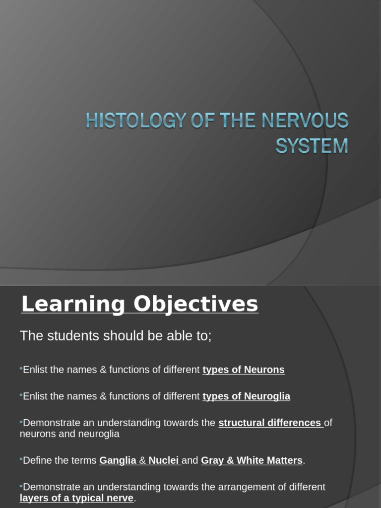 Histology of the Nervous System. | PDF | Central Nervous System | Neuron