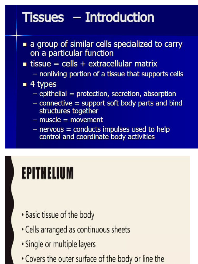 Histology of Epithelial Tissue | PDF