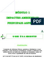 Impacto ambiental