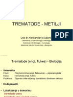 Parazitologija - Trematode, Helminti, Filarije
