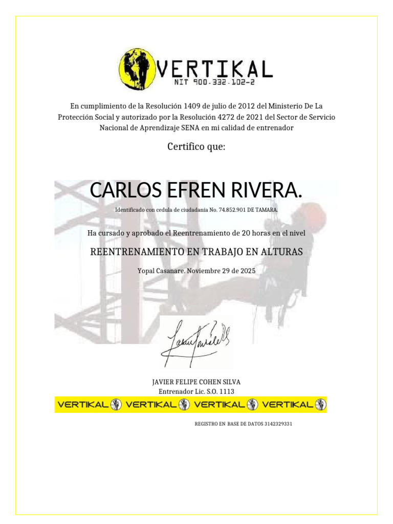 Trabajo en Alturas 001100 | PDF