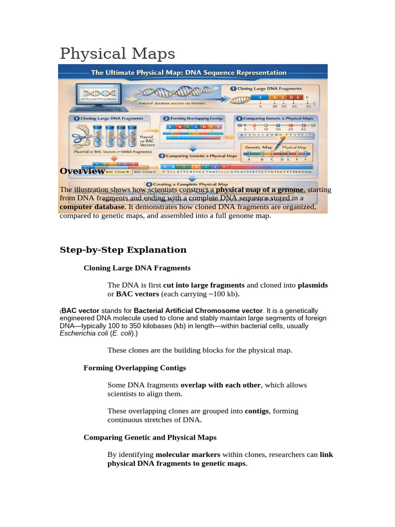 Physical Maps | PDF | Molecular Cloning | Genetics