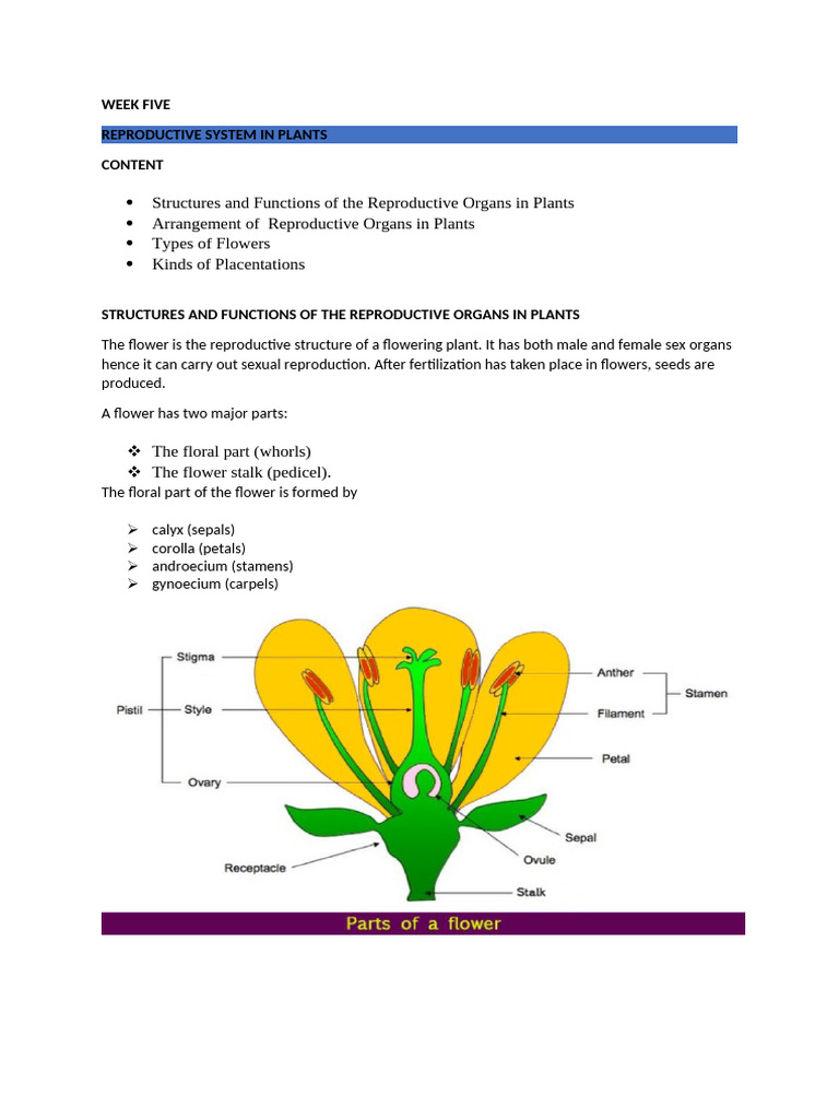REPRODUCTIVE SYSTEM IN FLOWERS | PDF | Flowers | Petal
