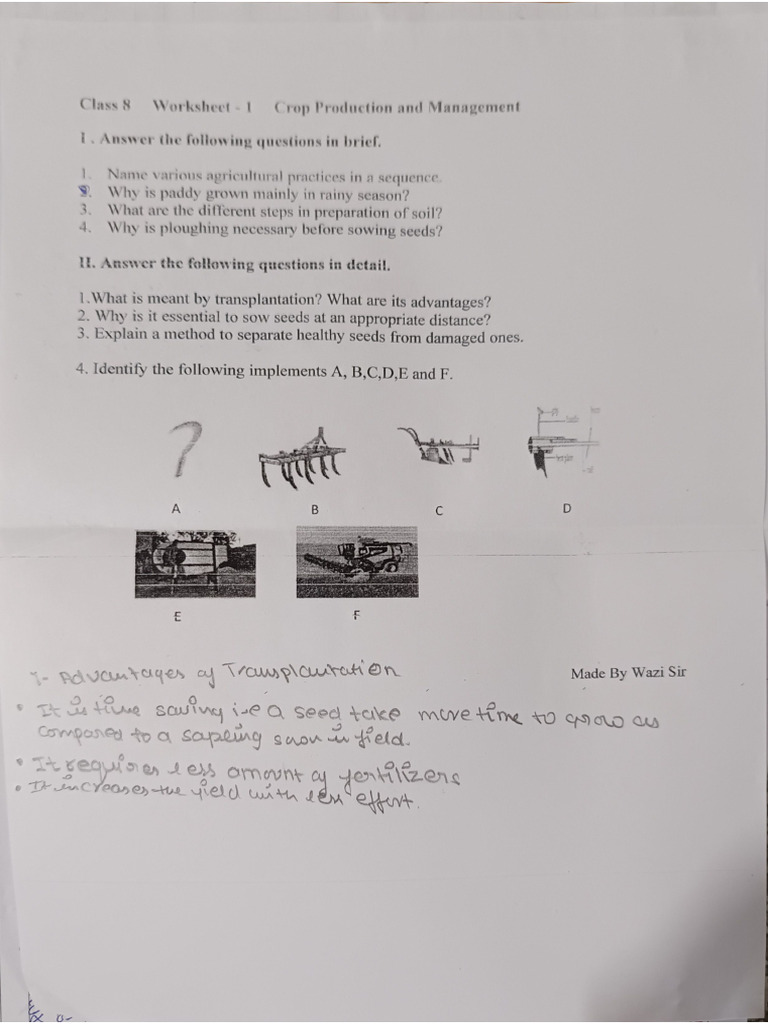 Worksheet Class 8th | PDF