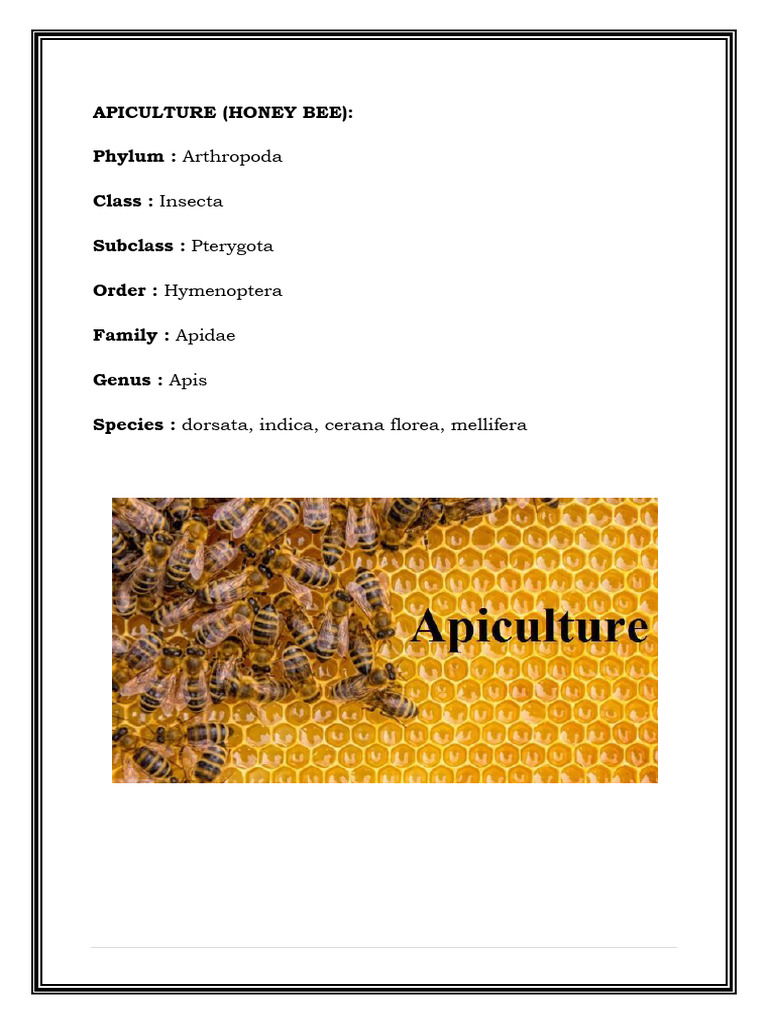 Apiculture and Its Importance | PDF | Honey Bee | Beekeeping