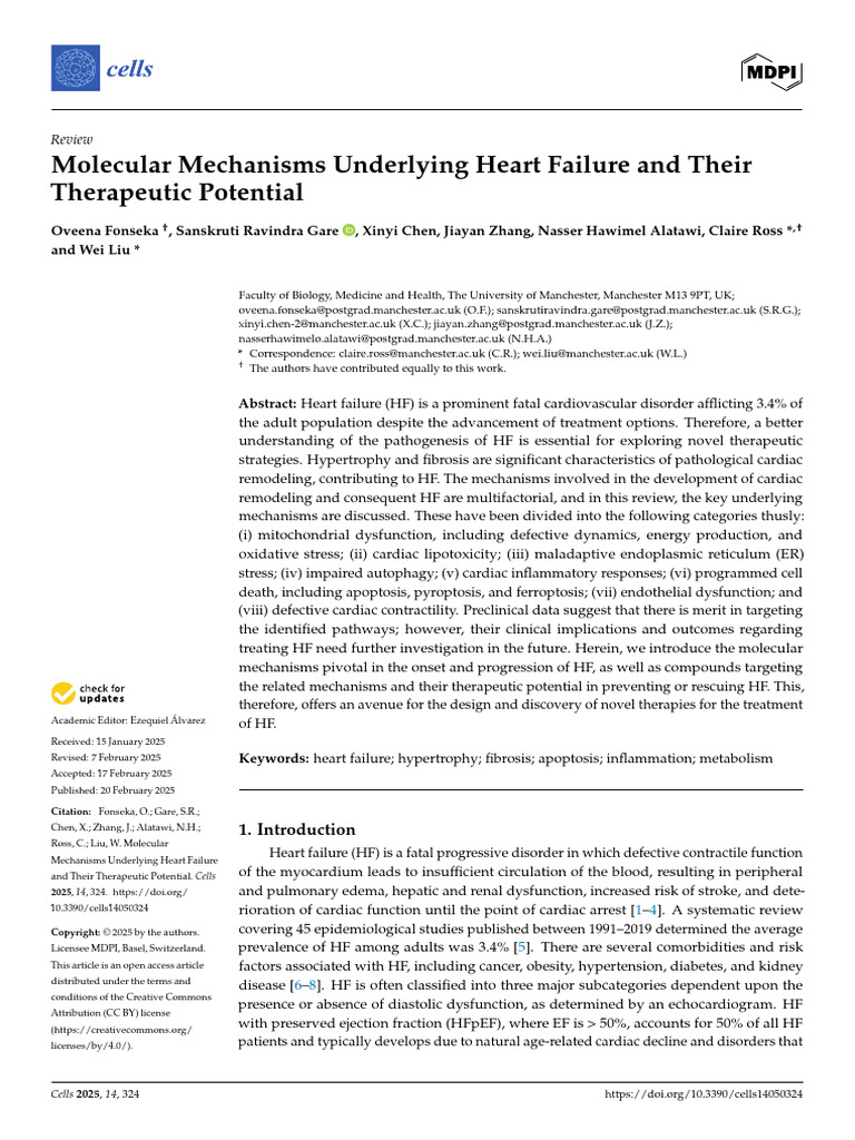 Molecular Mechanisms Underlying Heart Failure and Their Therapeutic ...