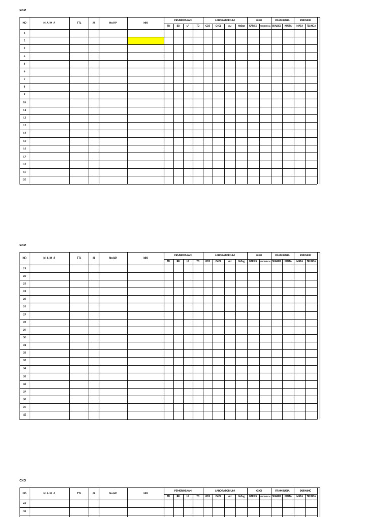 Format Ckg | PDF