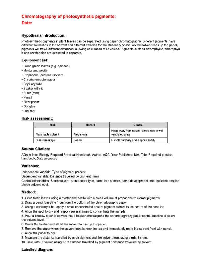 CPAC Required Practical 7- Chromotography of Photosynthetic Pigments | PDF