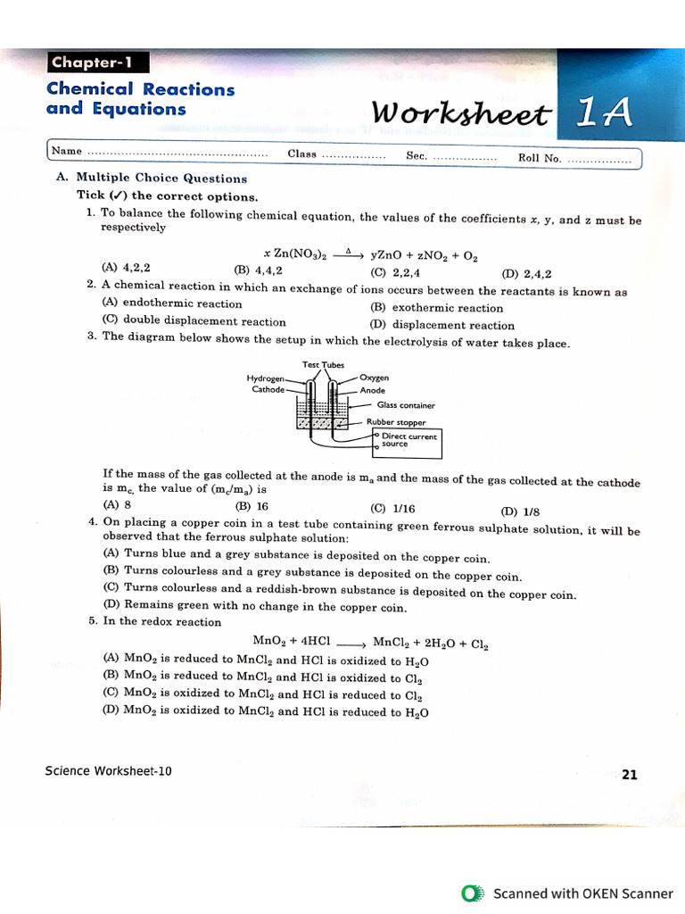 Science Worksheet | PDF
