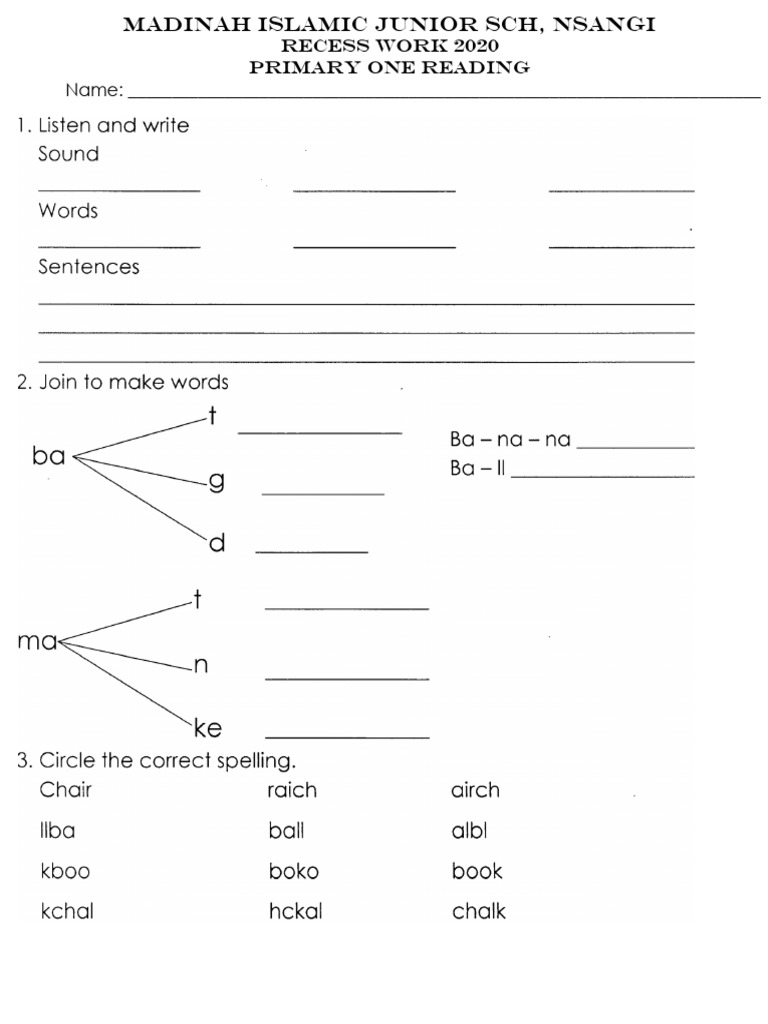 p1 Reading (2) | PDF