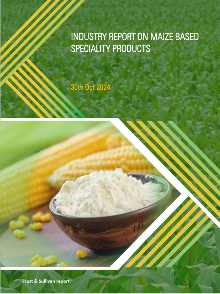 Maize industry-Paramesu-Biotech | PDF | Agriculture | Maize
