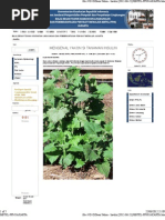 Download Khasiat Yakon 1 by Citik SN102617355 doc pdf