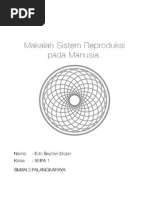 Download Makalah Sistem Reproduksi Pada Manusia by Hatta Ata Coy SN102618688 doc pdf