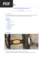 Understanding Herniated Nucleus Pulposus | PDF | Vertebral Column ...