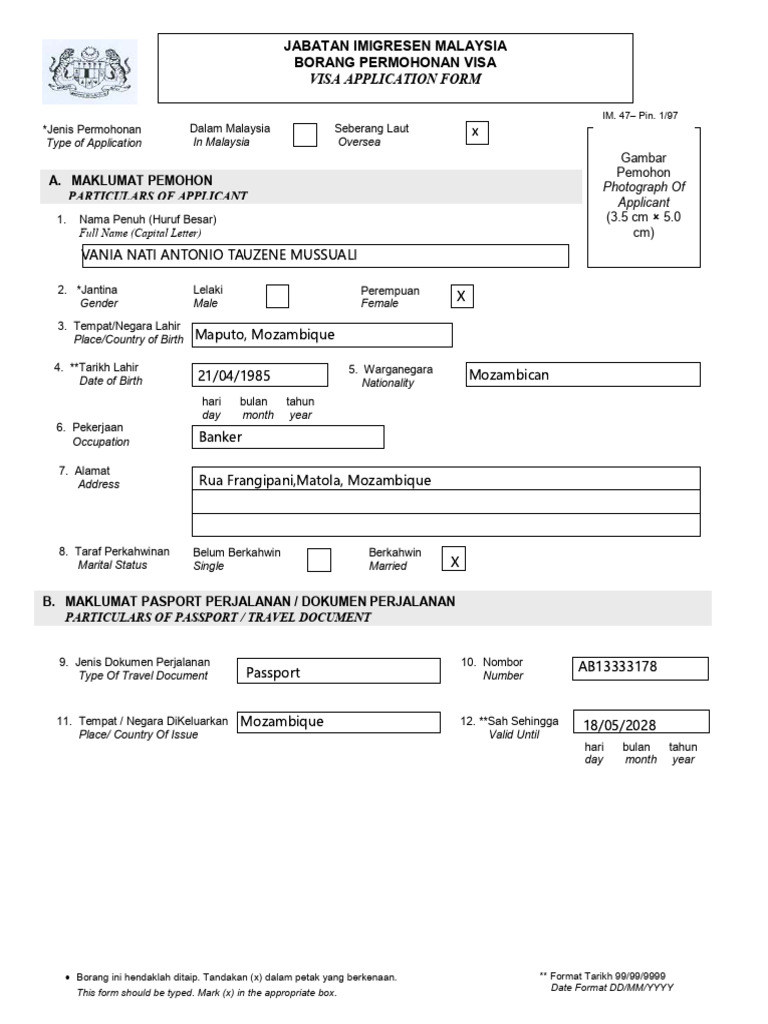Visa Application Form MOM | PDF