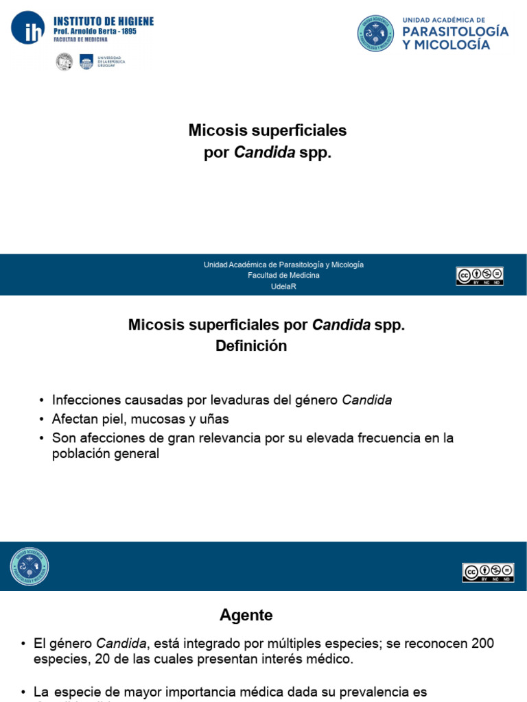 Candida Spp (1) | PDF | Candidiasis | Candida (hongo)