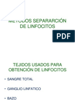 Separación Linfocitos 