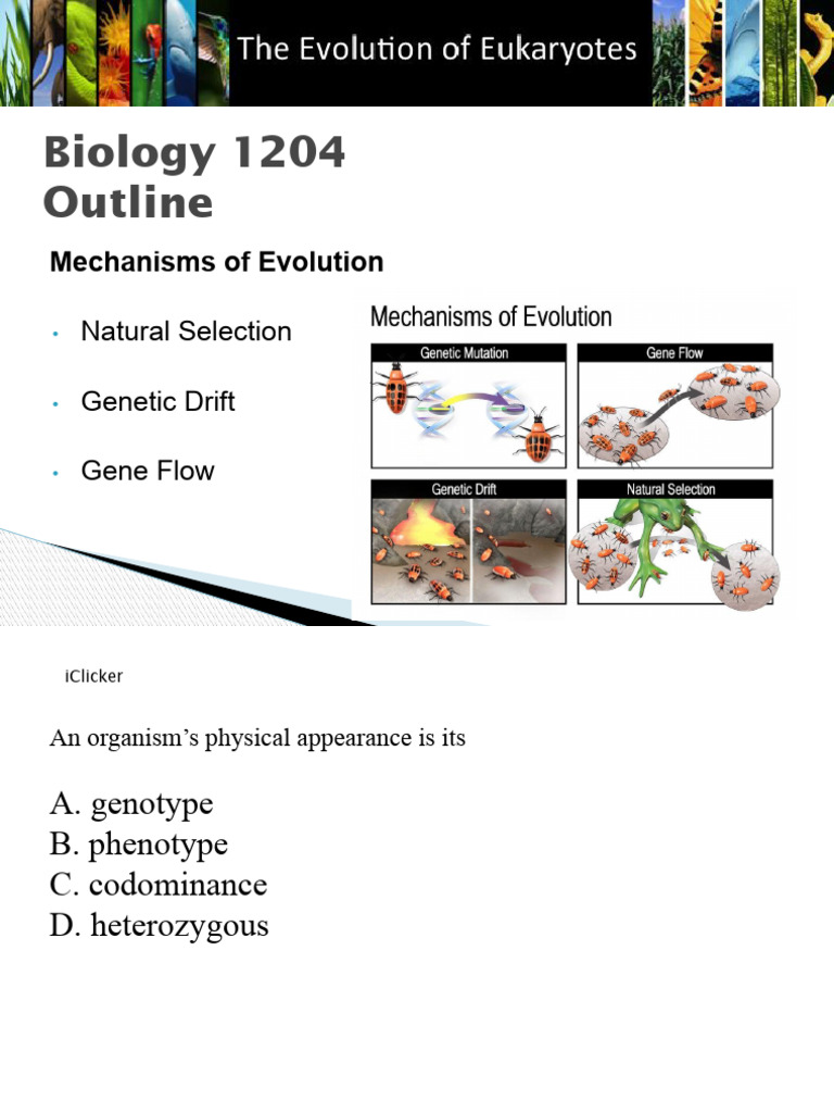 3. Mechanisms of Evolution_Students | PDF | Natural Selection | Genetic ...