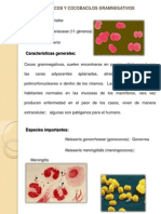 TEMA #17 GENEROS Neisseria Moraxella