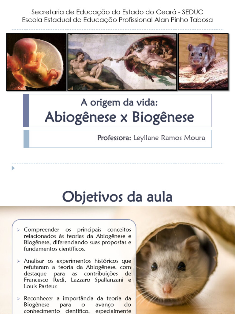 Abiogênese X Biogênese | PDF | Abiogênese | Biologia