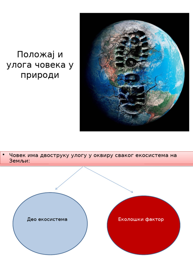 5cuv7Polozaj i Uloga Coveka u Prirodi (1) | PDF
