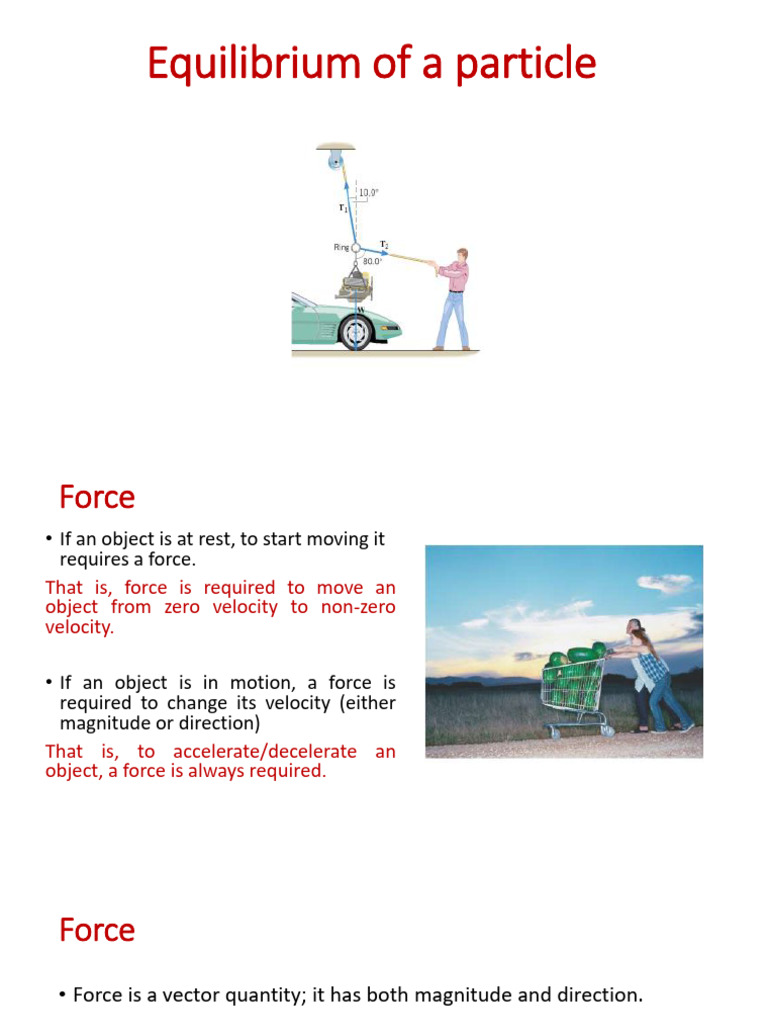 Equilibrium of a Particle | PDF | Force | Friction