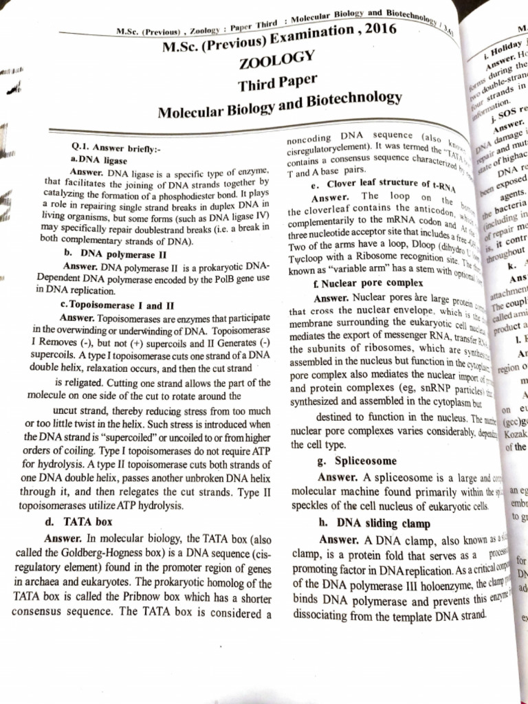 2016 Molecular Biology | PDF | Dna | Dna Replication