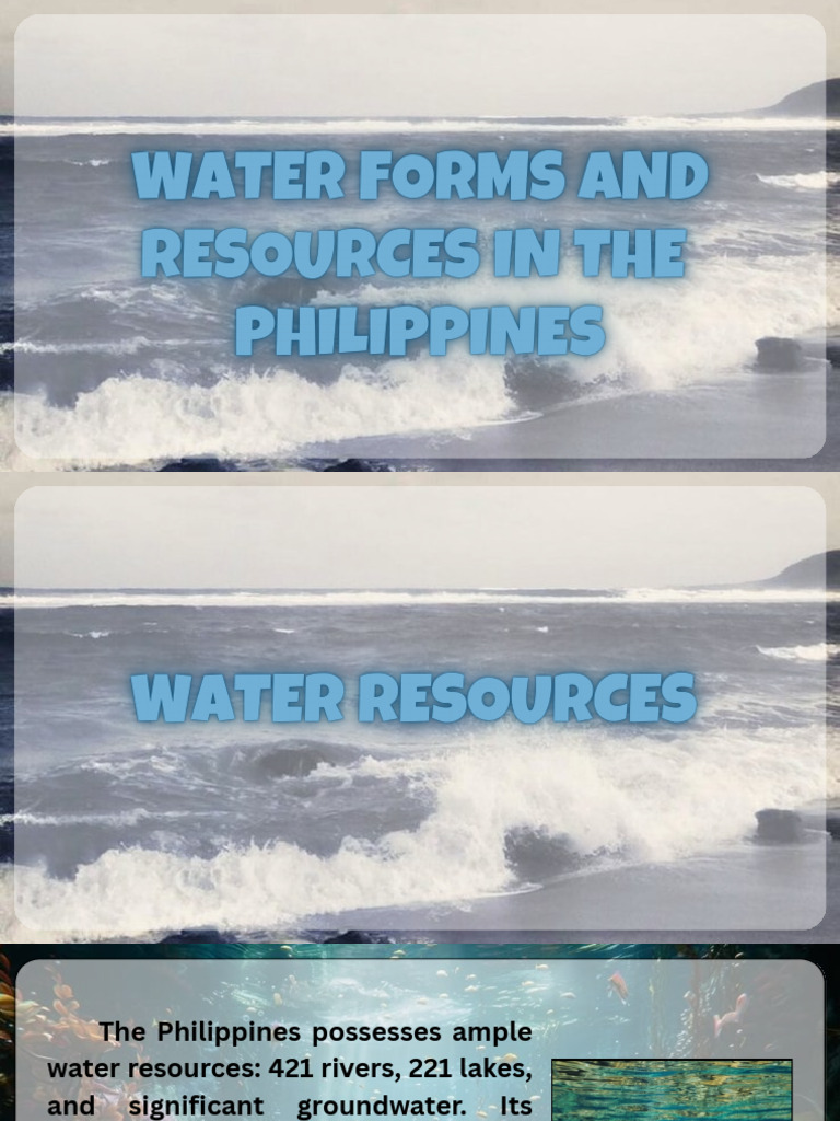 2nd Report Water Forms and Resources | PDF