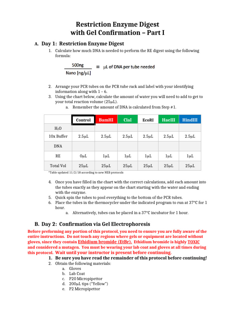 Restriction Enzyme Digest Protocol_Updated 8-24-18 | PDF | Polymerase ...