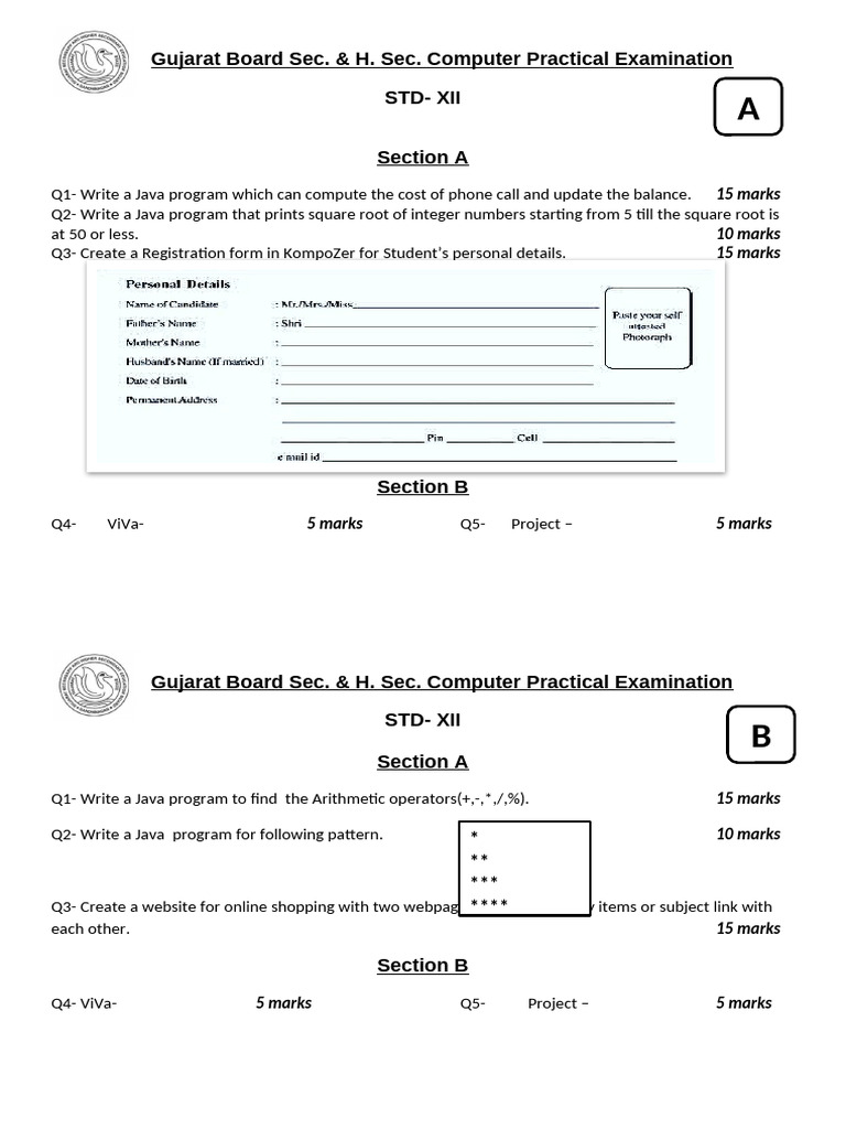12 Sci Practical Papers | PDF | Computer Programming | Software Engineering