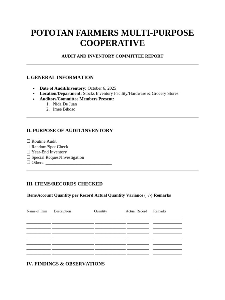 Audit and Inventory Report Form | PDF | Audit | Inventory