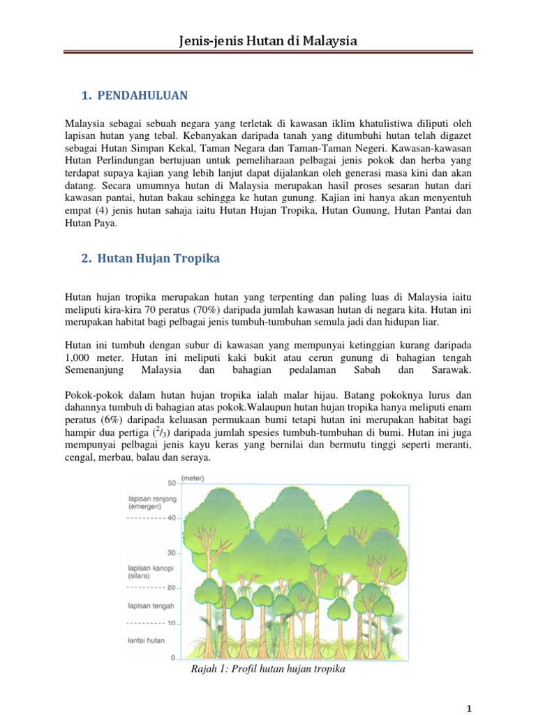 Jenis-jenis Hutan di Malaysia: Pendahuluan