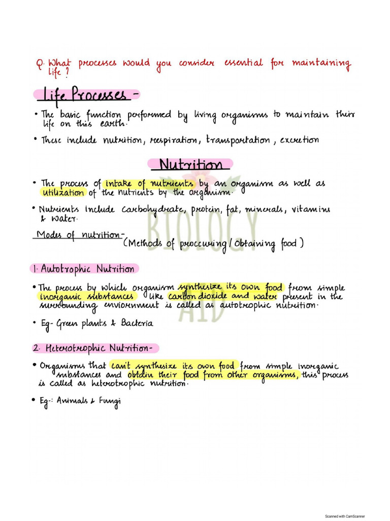 Biology Aid Life Processes Notes (1) | PDF