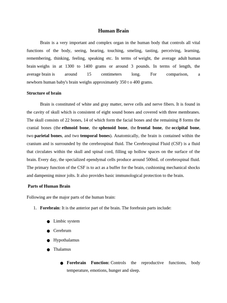 Brain its Parts and Functions | PDF | Cerebrum | Brain