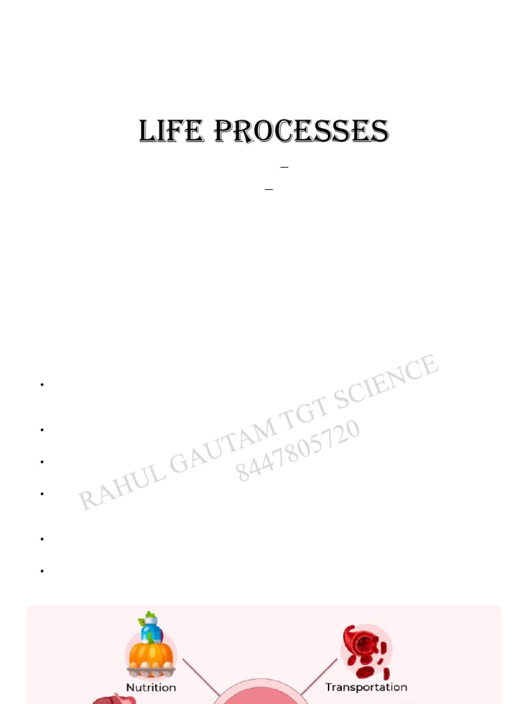 Chapter 5 - Life Processes | PDF | Stomach | Digestion