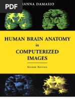 Download Human Brain Anatomy in Computerized Images - Hanna Damasio by gabrielschenker SN102664815 doc pdf