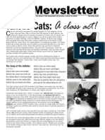 Tuxedo Cats:: A Class Act!