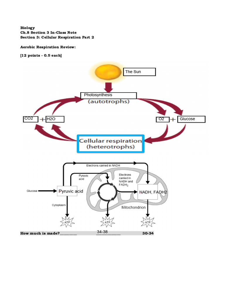 Ch.8.3 Lecture Note Part 2.Docx | PDF