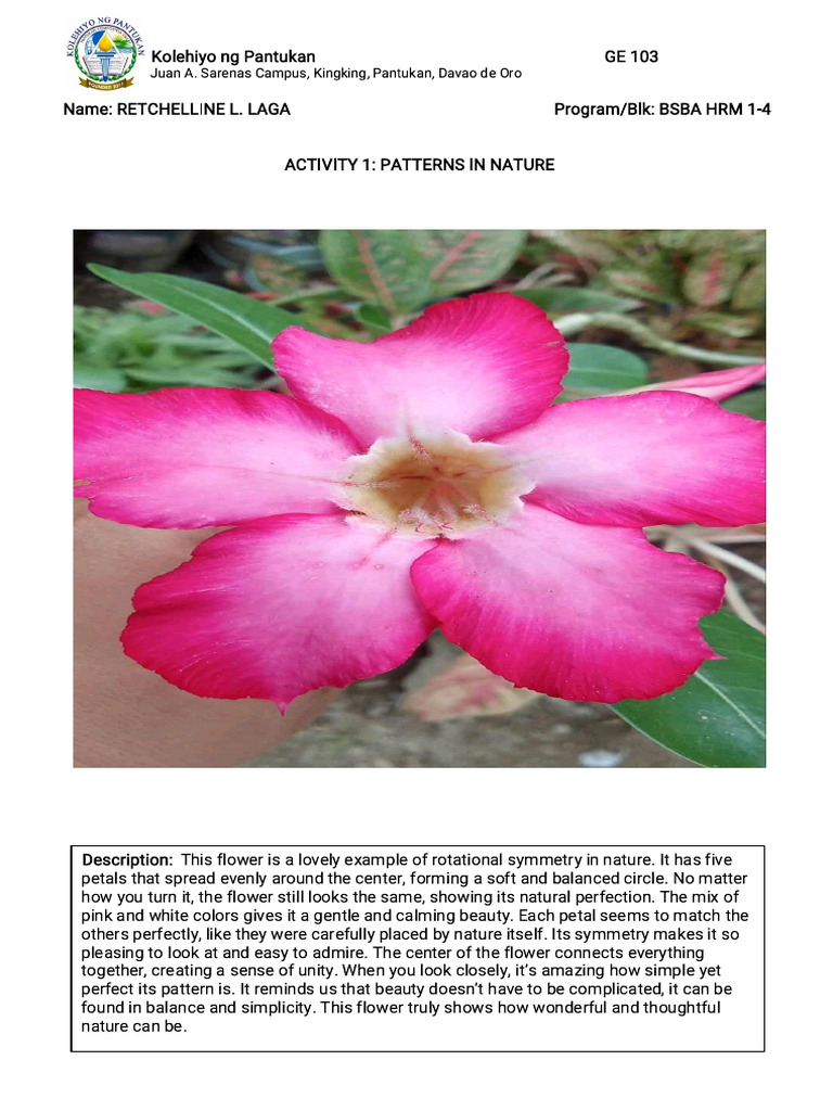Activity 1 Patterns in Nature | PDF