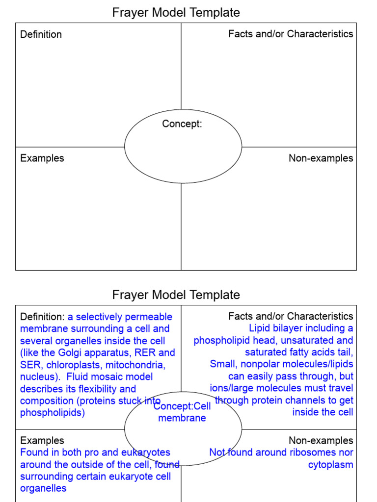 Harper Frayer Model Template | PDF