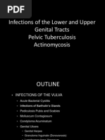 Download Lower and Upper Genital Tract Infections by Danna Bongon SN102672468 doc pdf