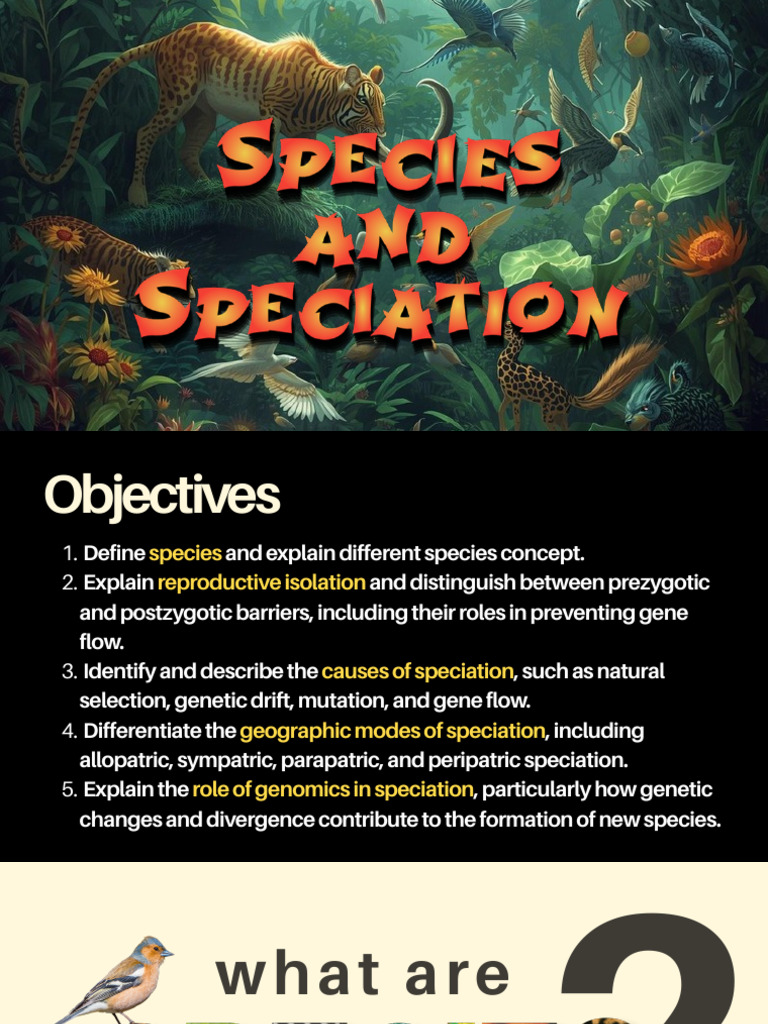 Species Speciation 2 | PDF | Species | Evolution