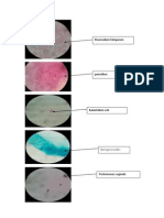 Microbio Group Report